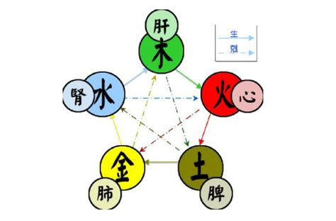 五行 金木|五行（对万事万物的取象比类）